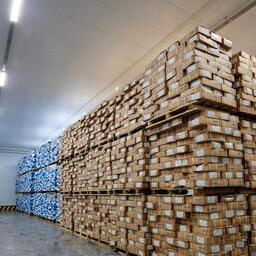 С начала года Владморрыбпорт отправил на экспорт почти 70 тыс. тонн рыбопродукции. Фото предоставлено компанией